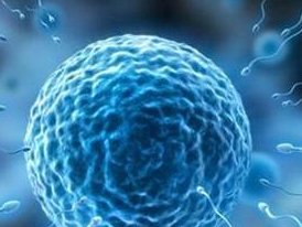 厦门DO三代试管婴儿医院名单揭晓厦门较好的怀孕机构是哪家