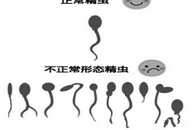 男性乙肝五项阳性也能做试管婴儿吗