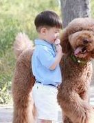 50岁女性做试管婴儿的成功率有多高？