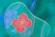 长春试管婴儿医院哪家强