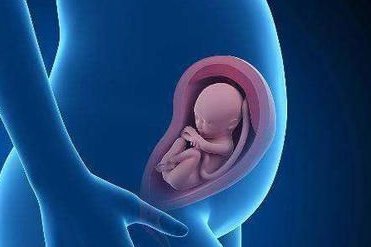 在邯郸市妇幼保健院做试管婴儿要多少钱？成功率怎么样？附试管怀孕机构名单一览